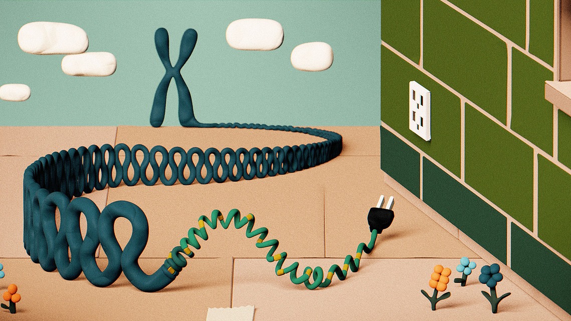 Homeowner consulting with a general contractor